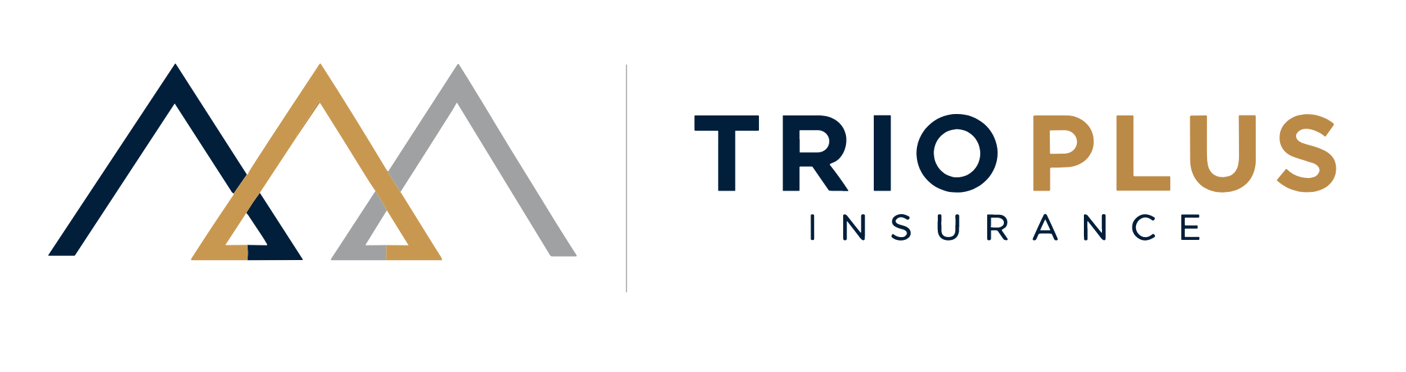 TrioPlus Horizontal Logo